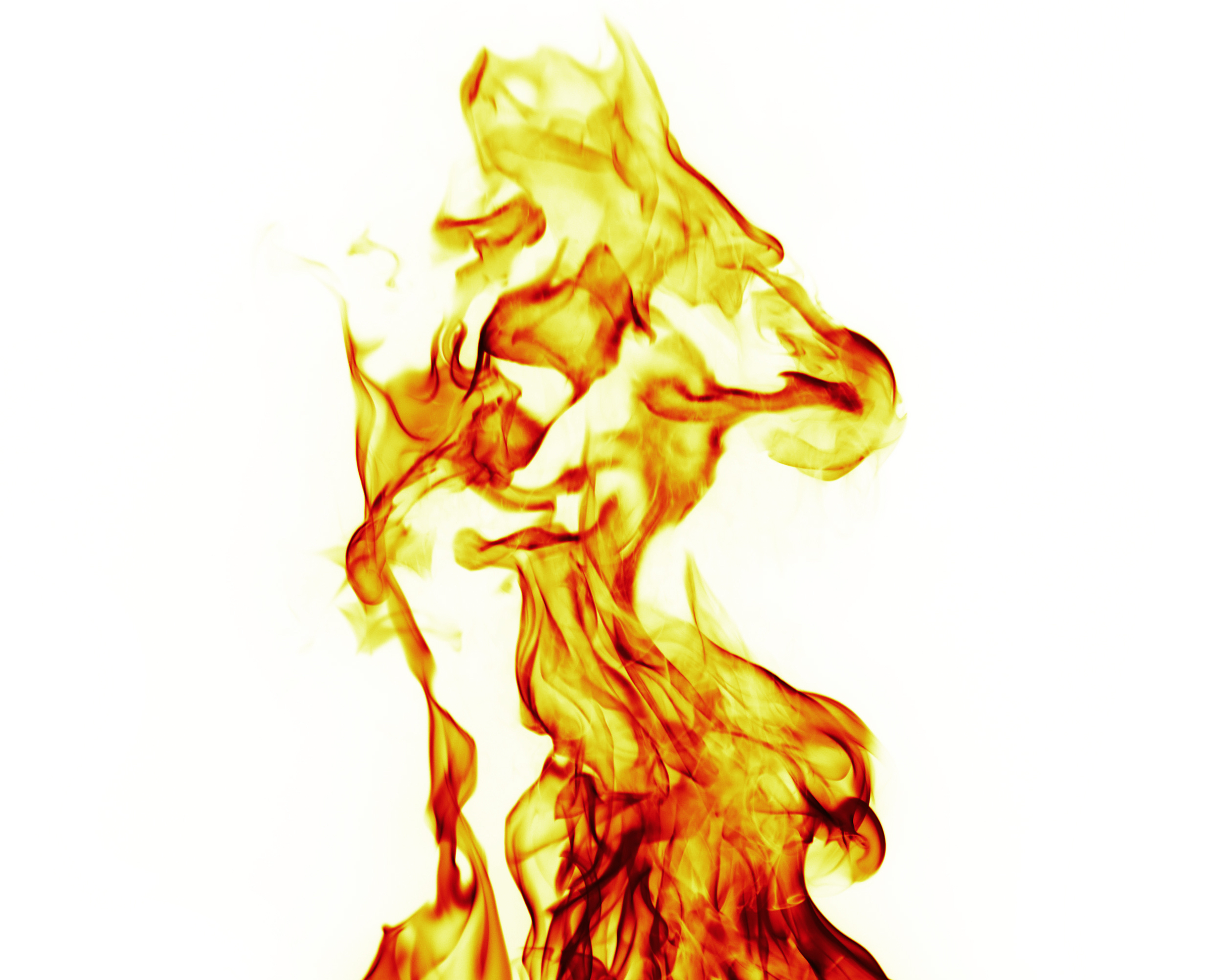 Catalogue musicale de musique libre de droits pour le catalogue de stock collections